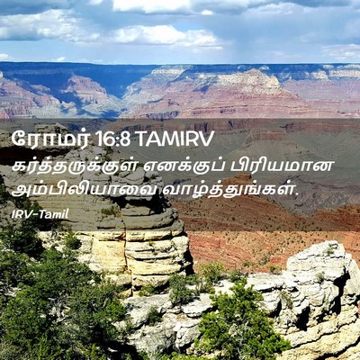 Picture 02 - ரோமர் 16:8 TAMIRV - கர்த்தருக்குள் - Bible Verse Picture