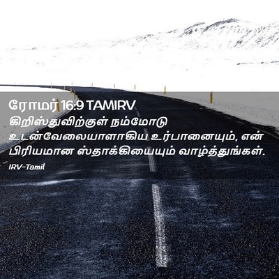 Picture 02 - ரோமர் 16:9 TAMIRV - கிறிஸ்துவிற்குள் - Bible Verse Picture