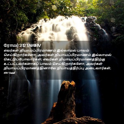 Picture 02 - ரோமர் 2:12 TAMIRV - எவர்கள் - Bible Verse Picture
