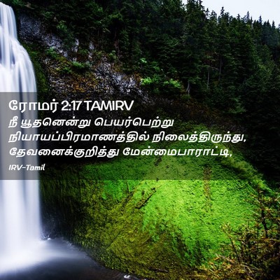 Picture 02 - ரோமர் 2:17 TAMIRV - நீ யூதனென்று - Bible Verse Picture