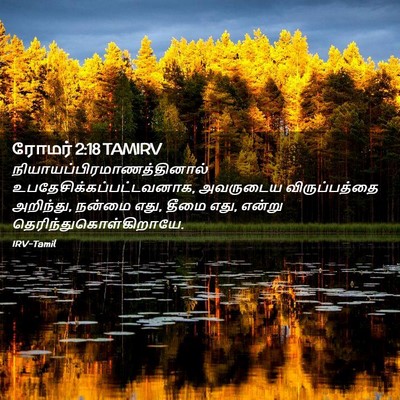 Picture 02 - ரோமர் 2:18 TAMIRV -  - Bible Verse Picture
