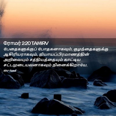 Picture 02 - ரோமர் 2:20 TAMIRV - பேதைகளுக்குப் - Bible Verse Picture