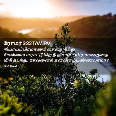 Picture 02 - ரோமர் 2:23 TAMIRV -  - Bible Verse Picture