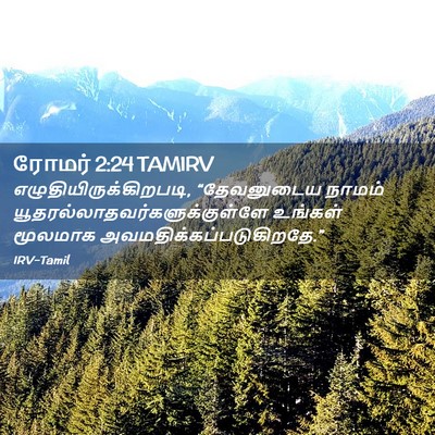 Picture 02 - ரோமர் 2:24 TAMIRV -  - Bible Verse Picture