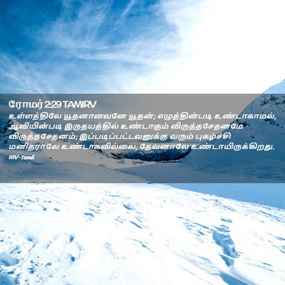 Picture 02 - ரோமர் 2:29 TAMIRV - உள்ளத்திலே - Bible Verse Picture