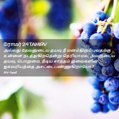 Picture 02 - ரோமர் 2:4 TAMIRV - அல்லது தேவனுடைய - Bible Verse Picture