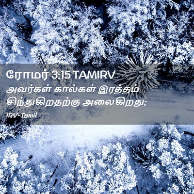 Picture 02 - ரோமர் 3:15 TAMIRV - அவர்கள் கால்கள் - Bible Verse Picture