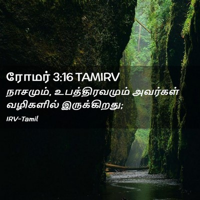 Picture 02 - ரோமர் 3:16 TAMIRV - நாசமும், - Bible Verse Picture