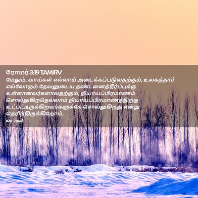Picture 02 - ரோமர் 3:19 TAMIRV - மேலும், வாய்கள் - Bible Verse Picture