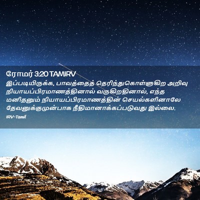 Picture 02 - ரோமர் 3:20 TAMIRV - இப்படியிருக்க, - Bible Verse Picture