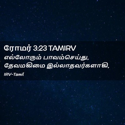 Picture 02 - ரோமர் 3:23 TAMIRV - எல்லோரும் - Bible Verse Picture