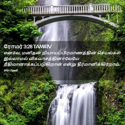 Picture 02 - ரோமர் 3:28 TAMIRV - எனவே, மனிதன் - Bible Verse Picture