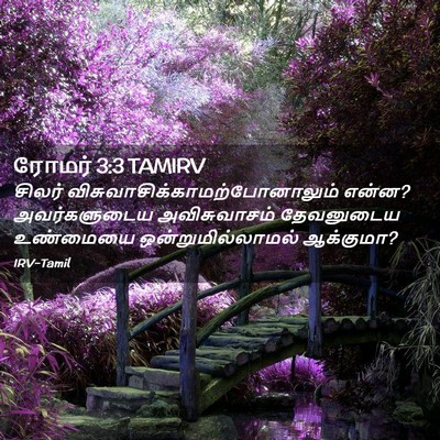 Picture 02 - ரோமர் 3:3 TAMIRV - சிலர் - Bible Verse Picture