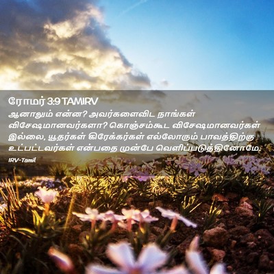 Picture 02 - ரோமர் 3:9 TAMIRV - ஆனாலும் என்ன? - Bible Verse Picture