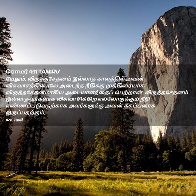 Picture 02 - ரோமர் 4:11 TAMIRV - மேலும், - Bible Verse Picture