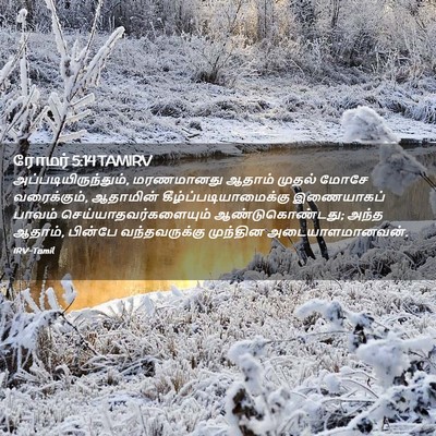 Picture 02 - ரோமர் 5:14 TAMIRV - அப்படியிருந்தும், - Bible Verse Picture