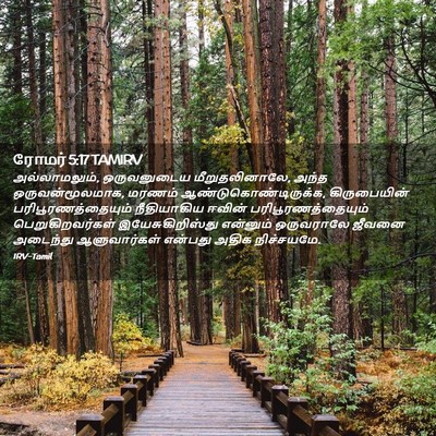 Picture 02 - ரோமர் 5:17 TAMIRV - அல்லாமலும், - Bible Verse Picture