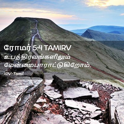 Picture 02 - ரோமர் 5:4 TAMIRV -  - Bible Verse Picture