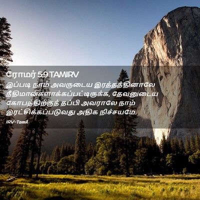 Picture 02 - ரோமர் 5:9 TAMIRV - இப்படி நாம் - Bible Verse Picture