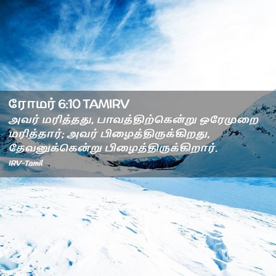 Picture 02 - ரோமர் 6:10 TAMIRV - அவர் மரித்தது, - Bible Verse Picture