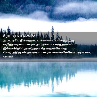 Picture 02 - ரோமர் 6:11 TAMIRV - அப்படியே - Bible Verse Picture