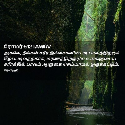 Picture 02 - ரோமர் 6:12 TAMIRV - ஆகவே, நீங்கள் சரீர - Bible Verse Picture