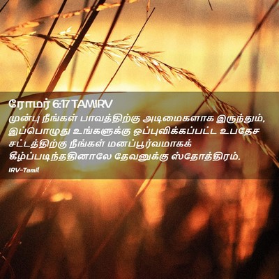 Picture 02 - ரோமர் 6:17 TAMIRV - முன்பு நீங்கள் - Bible Verse Picture
