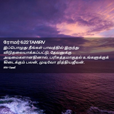 Picture 02 - ரோமர் 6:22 TAMIRV - இப்பொழுது நீங்கள் - Bible Verse Picture