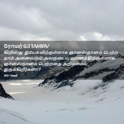 Picture 02 - ரோமர் 6:3 TAMIRV - கிறிஸ்து - Bible Verse Picture