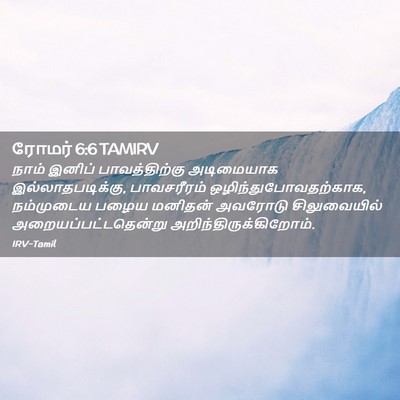 Picture 02 - ரோமர் 6:6 TAMIRV - நாம் இனிப் - Bible Verse Picture