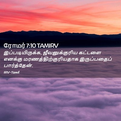 Picture 02 - ரோமர் 7:10 TAMIRV - இப்படியிருக்க, - Bible Verse Picture