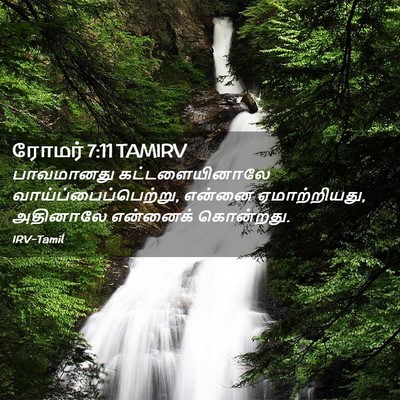 Picture 02 - ரோமர் 7:11 TAMIRV - பாவமானது - Bible Verse Picture