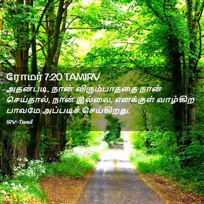 Picture 02 - ரோமர் 7:20 TAMIRV - அதன்படி, நான் - Bible Verse Picture