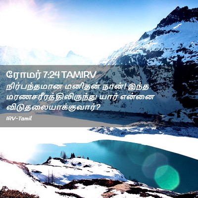 Picture 02 - ரோமர் 7:24 TAMIRV - நிர்பந்தமான - Bible Verse Picture