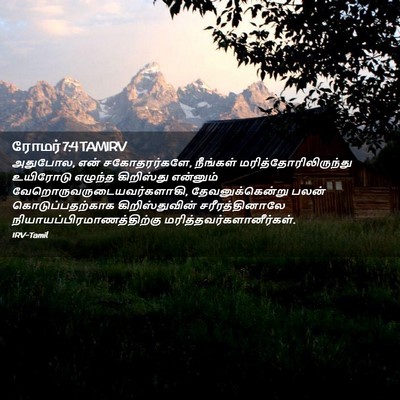 Picture 02 - ரோமர் 7:4 TAMIRV - அதுபோல, என் - Bible Verse Picture