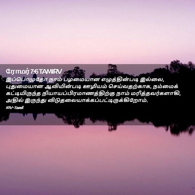 Picture 02 - ரோமர் 7:6 TAMIRV - இப்பொழுதோ நாம் - Bible Verse Picture