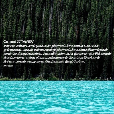 Picture 02 - ரோமர் 7:7 TAMIRV - எனவே, - Bible Verse Picture