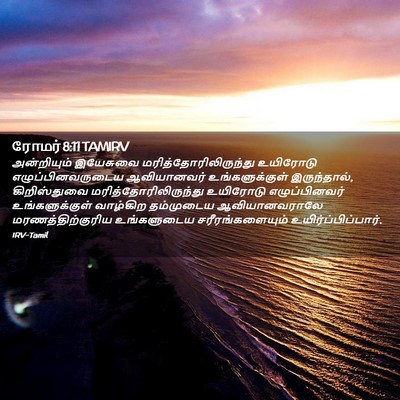 Picture 02 - ரோமர் 8:11 TAMIRV - அன்றியும் இயேசுவை - Bible Verse Picture