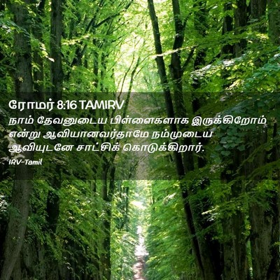 Picture 02 - ரோமர் 8:16 TAMIRV - நாம் தேவனுடைய - Bible Verse Picture