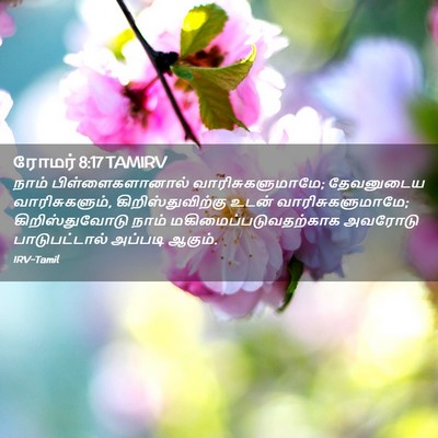 Picture 02 - ரோமர் 8:17 TAMIRV - நாம் - Bible Verse Picture