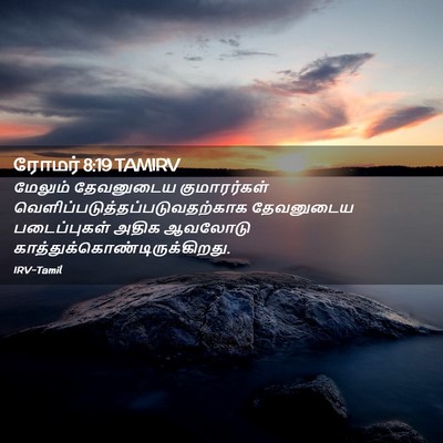Picture 02 - ரோமர் 8:19 TAMIRV - மேலும் தேவனுடைய - Bible Verse Picture