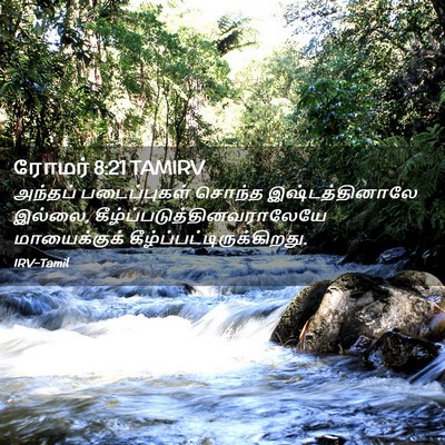 Picture 02 - ரோமர் 8:21 TAMIRV - அந்தப் படைப்புகள் - Bible Verse Picture