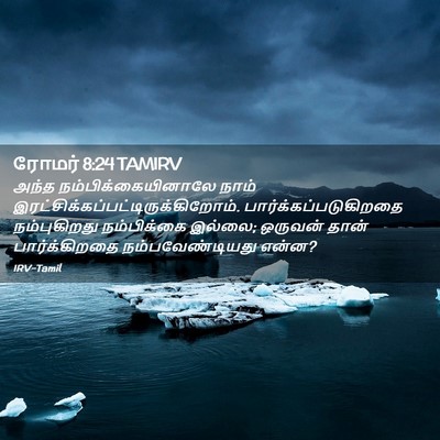 Picture 02 - ரோமர் 8:24 TAMIRV - அந்த - Bible Verse Picture