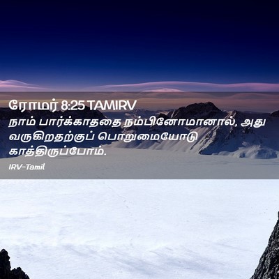 Picture 02 - ரோமர் 8:25 TAMIRV - நாம் பார்க்காததை - Bible Verse Picture
