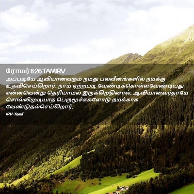 Picture 02 - ரோமர் 8:26 TAMIRV - அப்படியே - Bible Verse Picture