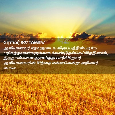 Picture 02 - ரோமர் 8:27 TAMIRV - ஆவியானவர் - Bible Verse Picture