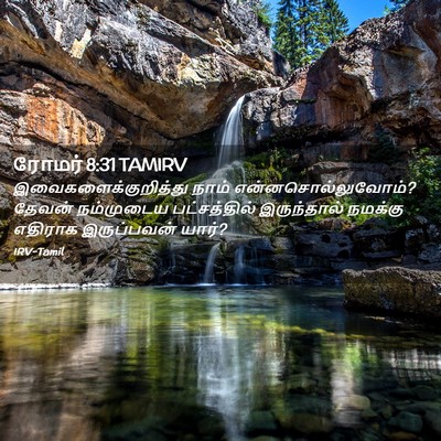 Picture 02 - ரோமர் 8:31 TAMIRV - இவைகளைக்குறித்து - Bible Verse Picture
