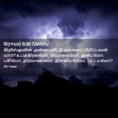 Picture 02 - ரோமர் 8:36 TAMIRV - கிறிஸ்துவின் - Bible Verse Picture