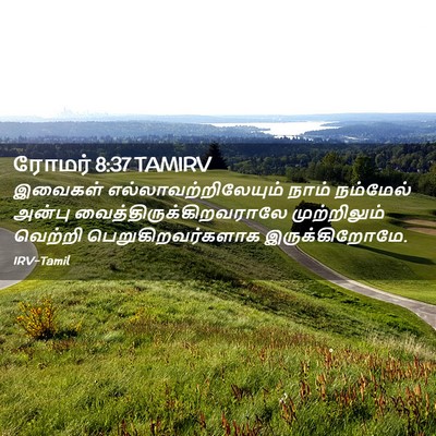 Picture 02 - ரோமர் 8:37 TAMIRV - இவைகள் - Bible Verse Picture