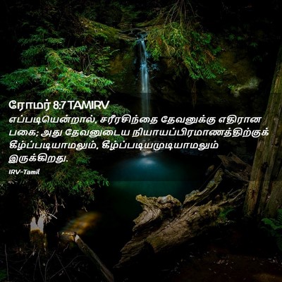 Picture 02 - ரோமர் 8:7 TAMIRV - எப்படியென்றால், - Bible Verse Picture